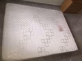 二房东看过来