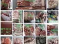 专卖冷冻肉食品