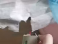 醫用口罩