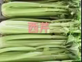 榜鵝蔬菜群