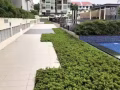 实龙岗套房Studio出租