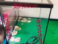 小型鱼缸