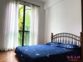 公寓大普通房出租，可报本屋地址，小区环境安静优美，屋子干净整洁，随时拎包入住！