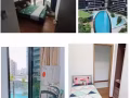 促销减价免押金！花拉公园最豪华普通房，落地窗，带圆弧大阳台，可视频看房
