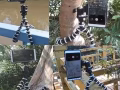 八爪鱼手机三脚支架