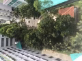 武吉班让床位出租