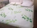主人房短期出租，钟点房，日租房，