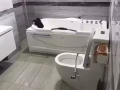 专业安装灯具、水笼头、晾衣架、淘宝家具、窗帘轨道，地板油漆修理、房屋粉刷，价格便
