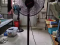 回国转卖风扇，义顺自取