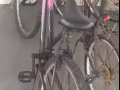 八成新脚车60金文泰自取