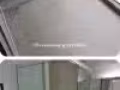 Hillview 兩臥一衛公寓整套出租