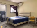 Tampines BLK856 主人房出租