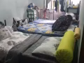 男、女搭房出租