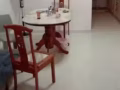 近油池蔡厝港地铁站普通房出租