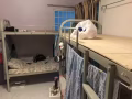 468D招男搭房。招男单间600