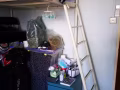 IKEA 宜家 LOFT bed 高架床