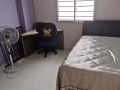 Tampines 优质房间出租