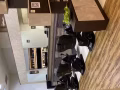 理发师