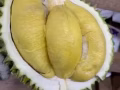 猫山王$12 1kg