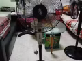 出售两架正常工作的风扇