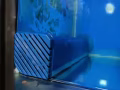 6尺 魚缸