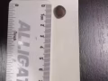 鸚鵡大松子