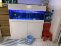 出售四呎鱼缸
