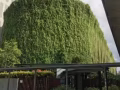 招收寄宿學生