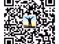 男 付费 约个小姐姐，爱干净保护隐私，what'sapp83741933