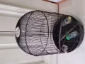 闲置精美鸟笼转让