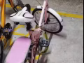 海軍部女士自行車需要的聯繫