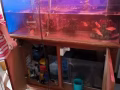 空大魚缸