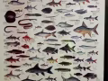 海鲜送货上门