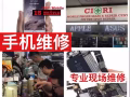 专业门店手机维修 有苹果认证的手机配件 屏幕电池主板 macbook ipad surface 各种问题都有维修 牛车水