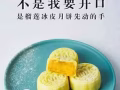马来西亚正中猫山王月饼