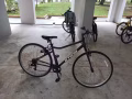 品牌变速自行车 淡滨尼自取