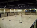 淡濱尼羽毛球