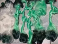 鱼网，撒网，飞盘网