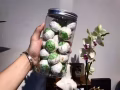 少量茶叶低价清仓