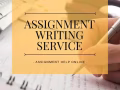 论文代写/Assignment 代写/Essay 代写/网课代写/作业代写