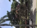 男床位出租（2个人一间）