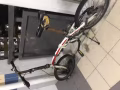 因工作调动转让一台自行车