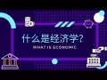 IGCSE, A Level, and IB Economics Tuition