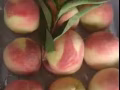 各種零食