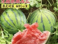 各種零食