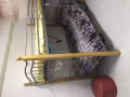 两个床位搭房