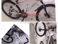 全新自行车🚲
