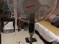 低价出售风扇