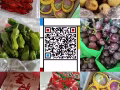靠近南洋大学☞水果，蔬菜，生鲜团购群