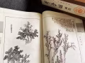 学习国画的经典《芥子园画谱》精装本